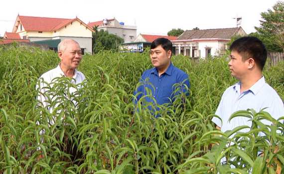 Trưởng ban Đo&agrave;n kết c&ocirc;ng gi&aacute;o mẫu mực ở Kim Sơn