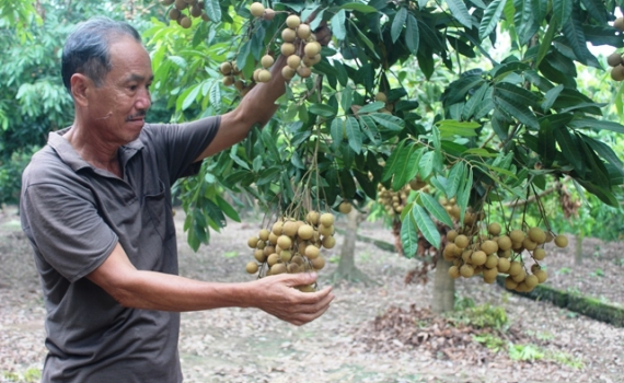 C&ocirc;ng bố ho&agrave;n th&agrave;nh mở cửa thị trường n&ocirc;ng sản sang một số nước