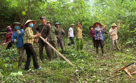 Y&ecirc;n Đồng chủ động ph&ograve;ng, chống ch&aacute;y rừng m&ugrave;a hanh kh&ocirc;