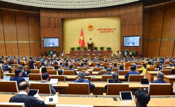 Đấu gi&aacute; biển số xe &ocirc; t&ocirc; từ ng&agrave;y 1-7-2023, gi&aacute; khởi điểm l&agrave; 40 triệu đồng