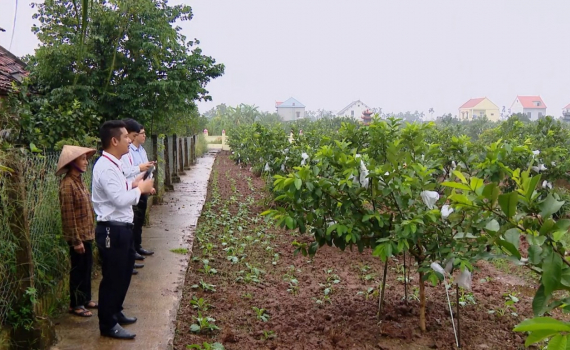Hiệu quả nguồn vốn t&iacute;n dụng n&ocirc;ng nghiệp, n&ocirc;ng th&ocirc;n