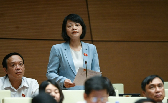 Đấu gi&aacute; biển số xe &ocirc; t&ocirc;: Gi&aacute; khởi điểm thế n&agrave;o l&agrave; hợp l&yacute;?
