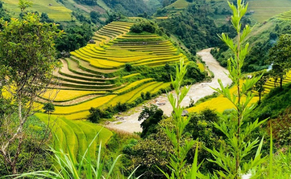 Du lịch đang phục hồi n&ecirc;n c&agrave;ng phải đặt chất lượng l&ecirc;n đầu