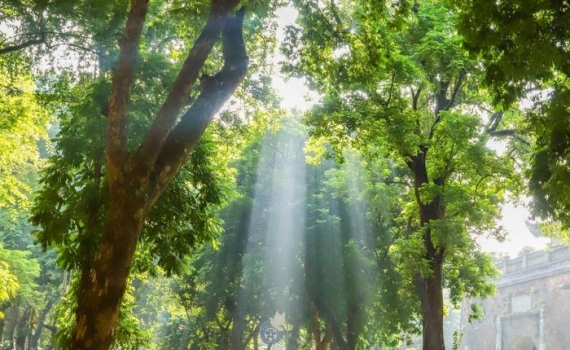Thời tiết h&ocirc;m nay (11-11): Bắc Bộ nắng hơn 33 độ C trước khi chuyển mưa r&eacute;t