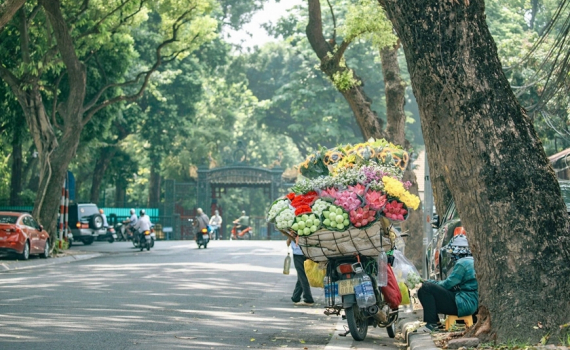 Thời tiết h&ocirc;m nay( 10-11): Bắc Bộ nắng r&aacute;o, Nam Bộ mưa d&ocirc;ng rải r&aacute;c