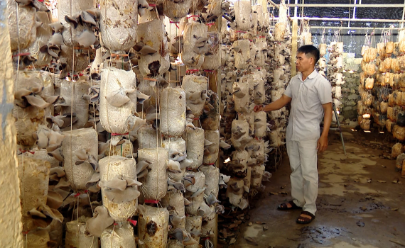 Nghị quyết số 32 của HĐND tỉnh Ninh B&igrave;nh th&uacute;c đẩy kinh tế n&ocirc;ng nghiệp, n&ocirc;ng th&ocirc;n ph&aacute;t triển