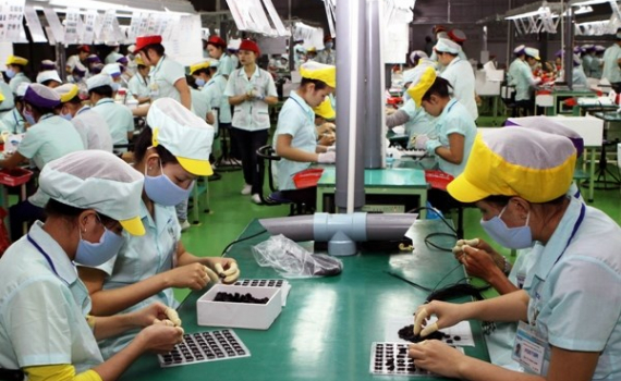 Sửa quy định về kiểm định vi&ecirc;n kỹ thuật an to&agrave;n lao động