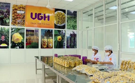 Nghị quyết 32 của HĐND tỉnh Ninh B&igrave;nh: Th&uacute;c đẩy chương tr&igrave;nh OCOP ở c&aacute;c địa phương