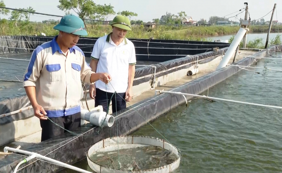 Kim Sơn ph&aacute;t triển thủy sản theo hướng bền vững