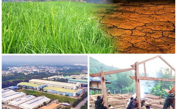 Chỉ đạo, điều h&agrave;nh của Ch&iacute;nh phủ, Thủ tướng Ch&iacute;nh phủ nổi bật tuần từ 16-22/11/2024