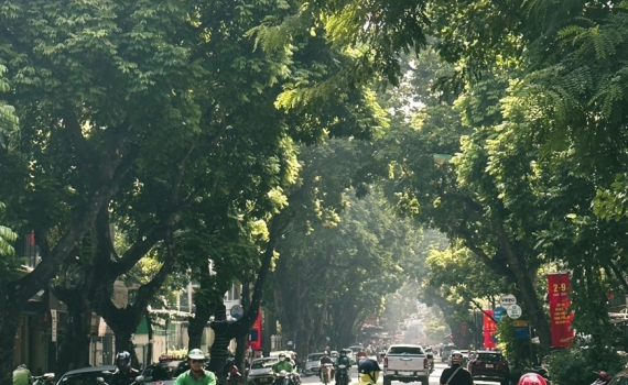 Thời tiết h&ocirc;m nay (12-11): Bắc Bộ, Bắc Trung Bộ s&aacute;ng sớm trời lạnh, ng&agrave;y nắng