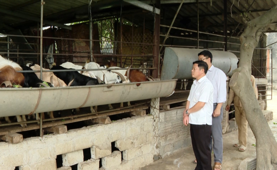 Gia Viễn quan t&acirc;m thực hiện ti&ecirc;u ch&iacute; thu nhập