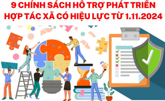9 ch&iacute;nh s&aacute;ch hỗ trợ ph&aacute;t triển hợp t&aacute;c x&atilde; c&oacute; hiệu lực từ th&aacute;ng 11.2024