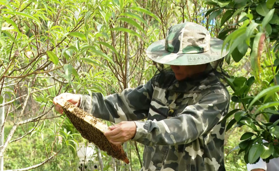 Thạch B&igrave;nh ph&aacute;t triển m&ocirc; h&igrave;nh kinh tế n&ocirc;ng nghiệp hiệu quả