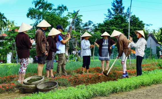 L&agrave;ng rau Tr&agrave; Quế được c&ocirc;ng nhận "L&agrave;ng Du lịch tốt nhất" năm 2024