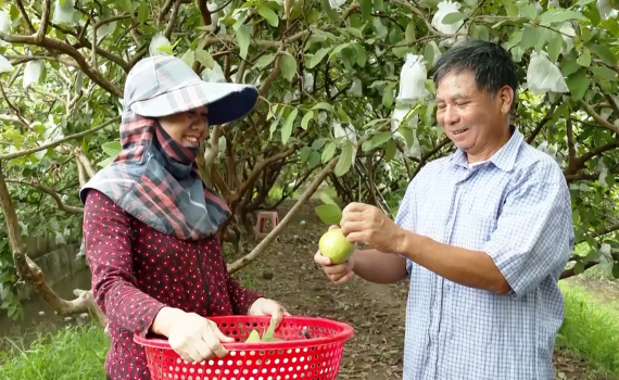 Những n&ocirc;ng d&acirc;n Y&ecirc;n Kh&aacute;nh học v&agrave; l&agrave;m theo gương B&aacute;c