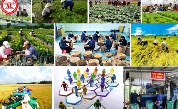 Ch&iacute;nh s&aacute;ch mới c&oacute; hiệu lực từ th&aacute;ng 11