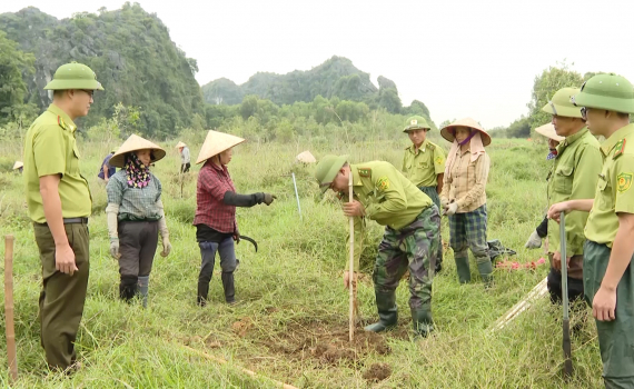 Phát triển rừng khu bảo tồn đất ngập nước Vân Long