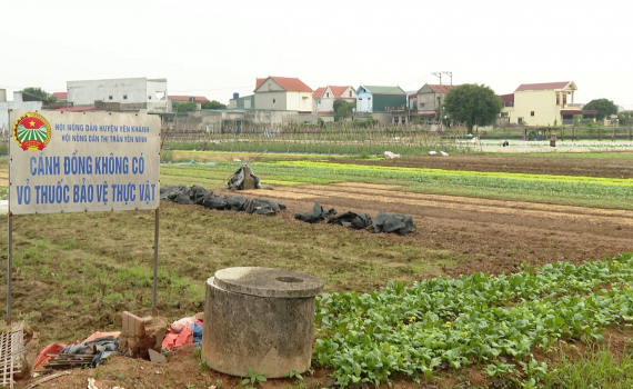 M&ocirc; h&igrave;nh &ldquo;C&aacute;nh đồng kh&ocirc;ng vỏ thuốc bảo vệ thực vật&rdquo; ở thị trấn Y&ecirc;n Ninh