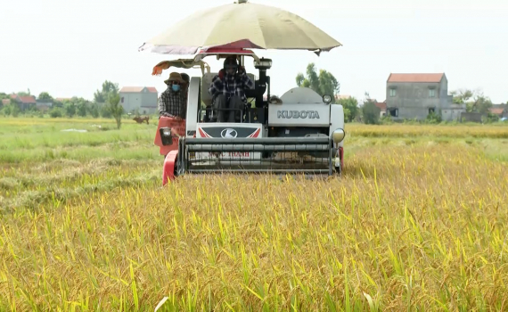 Ninh Bình: Giá trị sản xuất trên ha canh tác đạt trên 160 triệu đồng