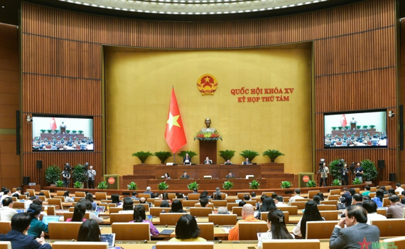 Đại biểu Quốc hội: Chế t&agrave;i xử l&yacute; l&atilde;ng ph&iacute; đ&atilde; ban h&agrave;nh nhưng t&iacute;nh răn đe chưa cao