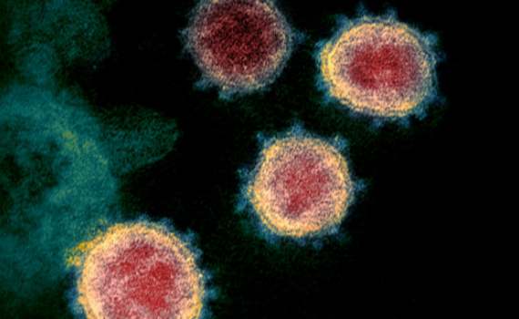 Anh ph&aacute;t hiện biến thể kh&aacute;c của virus SARS-CoV-2 c&oacute; nguồn gốc từ Nam Phi