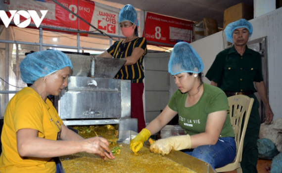 ​Kinh tế hợp t&aacute;c x&atilde;: Vốn thấp, năng lực yếu