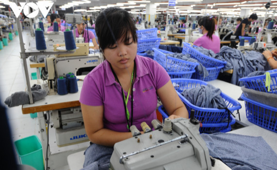 Nhiều mặt h&agrave;ng của Việt Nam đ&atilde; ngay lập tức được hưởng lợi từ EVFTA