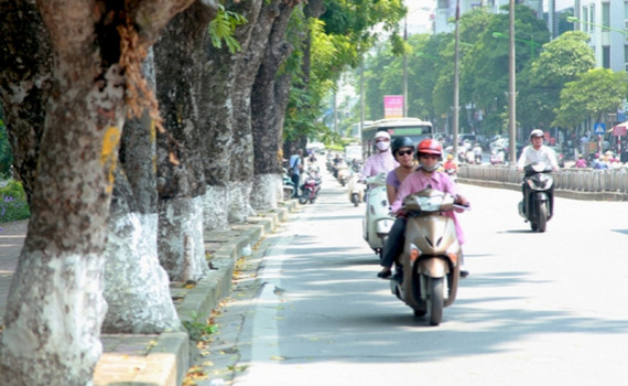 Thời tiết ng&agrave;y 10/12: Bắc Bộ ng&agrave;y nắng, đ&ecirc;m c&oacute; mưa v&agrave;i nơi