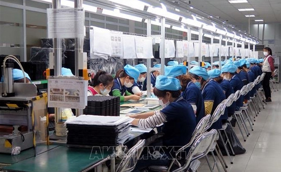 Từ 1-2-2022, lao động thời vụ kh&ocirc;ng được l&agrave;m th&ecirc;m qu&aacute; 12 giờ/ng&agrave;y