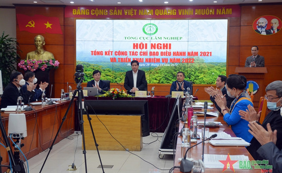 Gi&aacute; trị xuất khẩu l&acirc;m sản năm 2021 đạt khoảng 15,87 tỷ USD