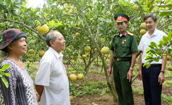 Cựu chiến binh huyện Y&ecirc;n Kh&aacute;nh chung sức x&acirc;y dựng N&ocirc;ng th&ocirc;n mới kiểu mẫu