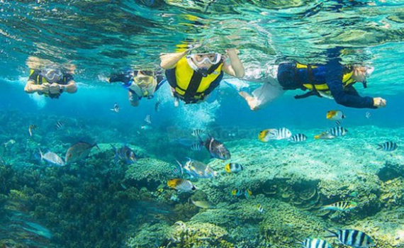 Tăng cường c&ocirc;ng t&aacute;c quản l&yacute; c&aacute;c khu bảo tồn biển, ven biển Việt Nam