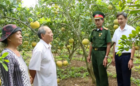 Hội Cựu chiến binh Y&ecirc;n Kh&aacute;nh đồng h&agrave;nh gi&uacute;p hội vi&ecirc;n ph&aacute;t triển kinh tế