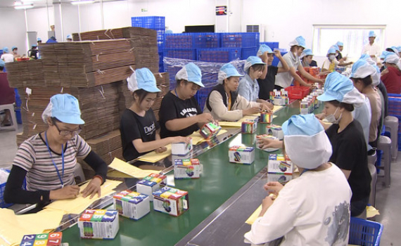 Ninh B&igrave;nh ch&uacute; trọng ph&aacute;t triển Cụm C&ocirc;ng nghiệp