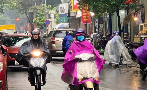 Chủ động ph&ograve;ng, chống r&eacute;t đậm, r&eacute;t hại