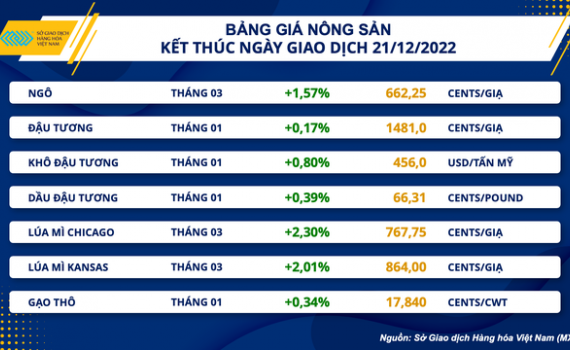 Ng&agrave;nh chăn nu&ocirc;i gặp kh&oacute; khi chi ph&iacute; đầu v&agrave;o tăng cao
