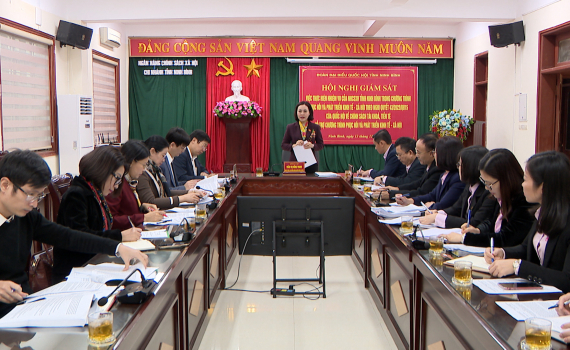 Đo&agrave;n ĐBQH tỉnh gi&aacute;m s&aacute;t tại Chi nh&aacute;nh Ng&acirc;n h&agrave;ng Ch&iacute;nh s&aacute;ch x&atilde; hội tỉnh
