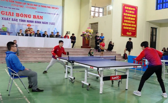 Giải b&oacute;ng b&agrave;n tay vợt xuất sắc tỉnh Ninh B&igrave;nh năm 2022