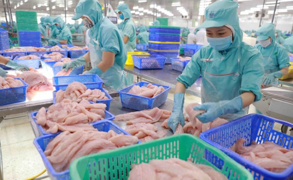Gam m&agrave;u s&aacute;ng trong bức tranh kinh tế năm 2022