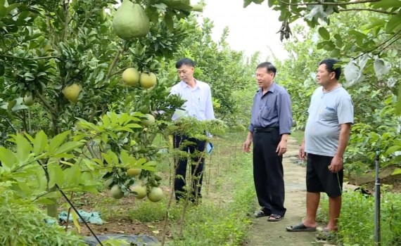 Kh&aacute;nh H&ograve;a ph&aacute;t huy vai tr&ograve; đảng vi&ecirc;n trong ph&aacute;t triển kinh tế