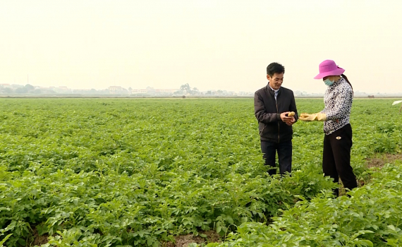 N&ocirc;ng d&acirc;n Ninh B&igrave;nh tất bật chuẩn bị nguồn thực phẩm phục vụ Tết