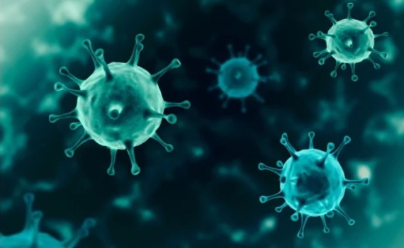 Bộ Y tế th&ocirc;ng tin về biến thể JN.1 của virus SARS-CoV-2