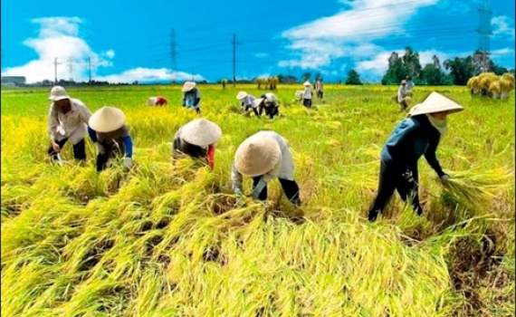 Bộ Ch&iacute;nh trị ban h&agrave;nh Nghị quyết về đổi mới, n&acirc;ng cao chất lượng hoạt động của Hội N&ocirc;ng d&acirc;n Việt Nam