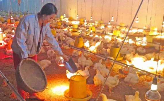 Thủ tướng y&ecirc;u cầu c&aacute;c bộ ng&agrave;nh, địa phương chủ động ph&ograve;ng, chống r&eacute;t đậm, r&eacute;t hại k&eacute;o d&agrave;i
