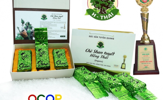 Kinh tế tập thể - nền tảng, động lực thực hiện chương tr&igrave;nh OCOP