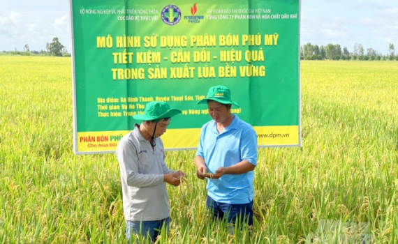 Năm 2050, c&oacute; 50% diện t&iacute;ch trồng trọt d&ugrave;ng ph&acirc;n b&oacute;n hữu cơ