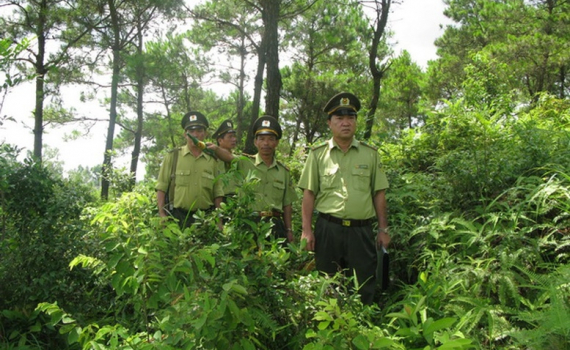 Sửa đổi, bổ sung một số quy định về Kiểm l&acirc;m v&agrave; Lực lượng chuy&ecirc;n tr&aacute;ch bảo vệ rừng