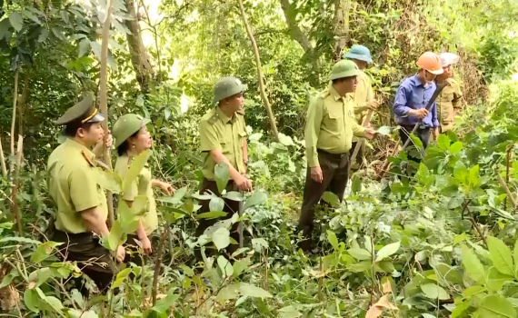 Ninh B&igrave;nh chủ động ph&ograve;ng chống ch&aacute;y rừng m&ugrave;a hanh kh&ocirc;