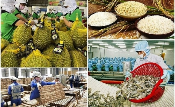 Xuất khẩu n&ocirc;ng sản 2024 bứt ph&aacute; ngoạn mục nhưng vẫn cần thận trọng trong 2025